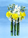 Window Vase using special suction cups