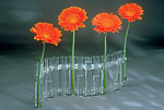 15-vial Clear Floral Arrangement