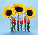 6-vial Clear Floral Design